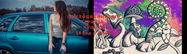 сатива Бикин