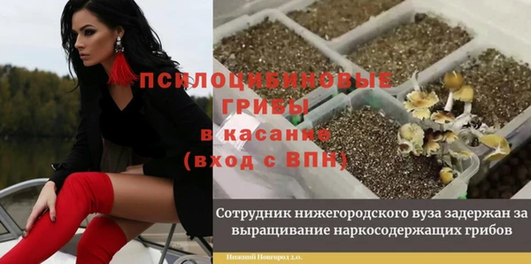 спиды Билибино